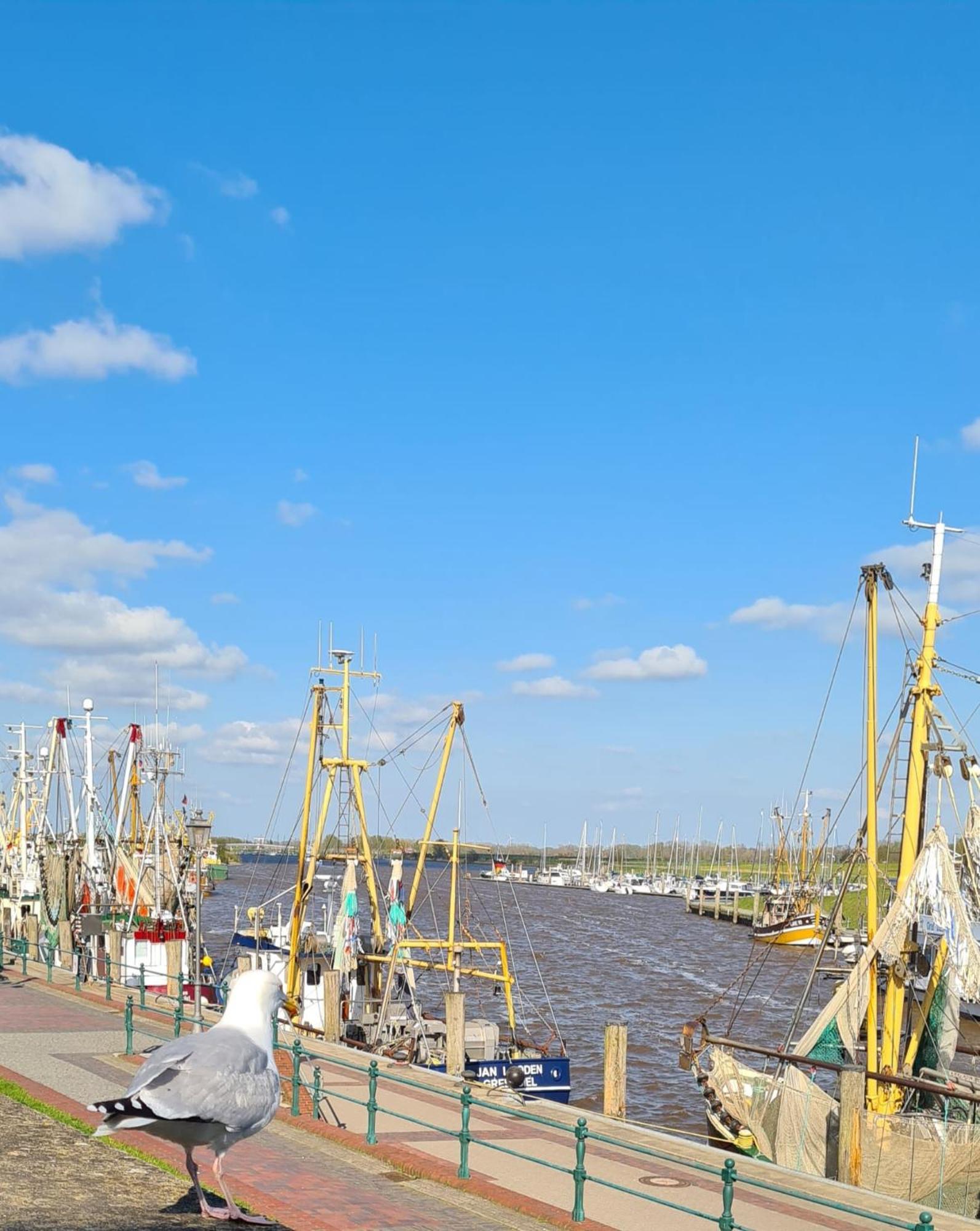 Ferienhaus Nordseeglueck Im Ferienpark Berumbur ภายนอก รูปภาพ